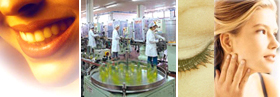 Chile beauty care cosmetics manufacturing, Chile skin care wholesale suppliers, Chilean body care cosmetics suppliers and industrial manufacturing cosmetics vendors to increase your export wholesale cosmetics in USA, Europe, Asia, beauty care, skin care, body care vendors business from Chile to the USA, Latin America, Asia and Europe distribution business...